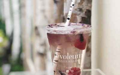 La sève de bouleau, la nutri cosmétique d'Evoleum !