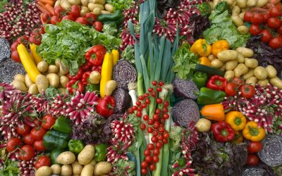 La naturopathie : qu’est-ce que c’est ?