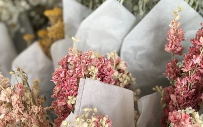 Mes boutiques déco à Saint Jean de Luz