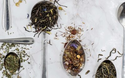 Quels sont les bienfaits du thé et de l&rsquo;infusion ?