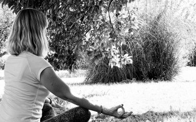 Cours de yoga en ligne pour 50 ans et plus