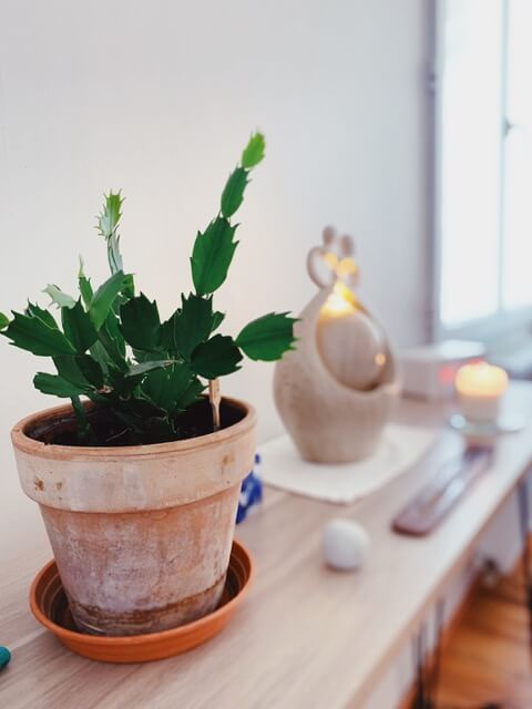 cabinet de naturopathie de sonia lassalle