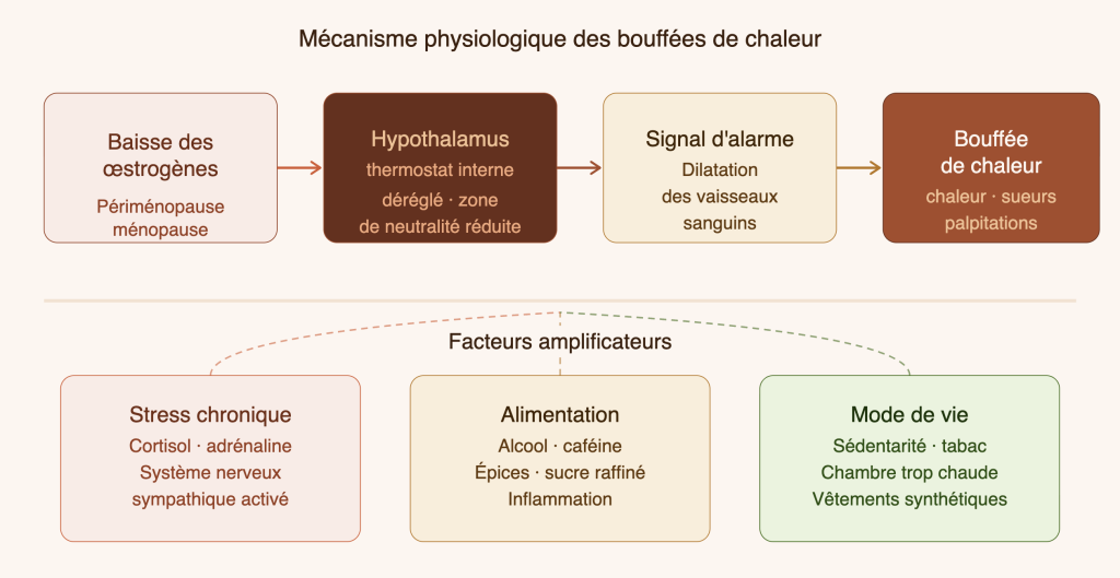 explications des bouffées de chaleur
